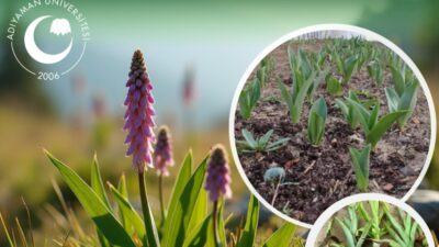 Adıyaman Üniversitesi, bölge tarımına yön verecek önemli bir projenin altına