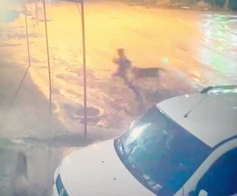 Adıyaman’ın Kahta ilçesinde sahipsiz köpeklerin saldırısına uğrayan 10 yaşındaki çocuk,