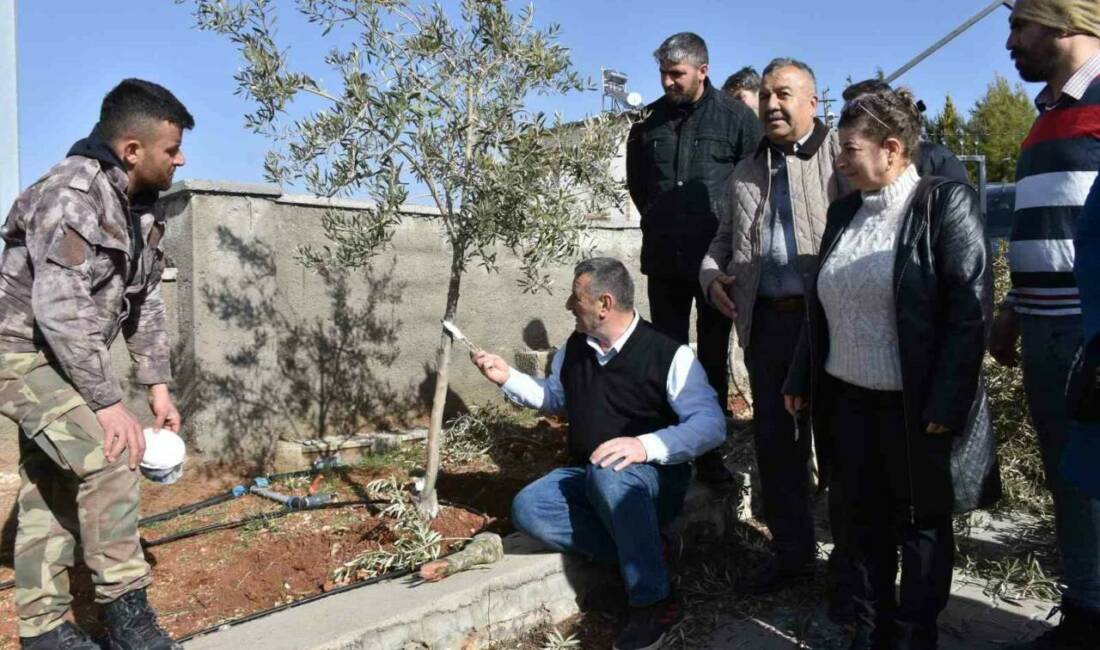 Gaziantep’te Şahinbey Belediyesi kırsal mahallelerde çiftçilik yapan yetiştiricilere "Antep Fıstığı