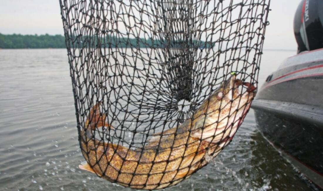 Küçük ölçekli balıkçılığın desteklenmesine ilişkin tebliğ kapsamında 2026 yılı başvuru