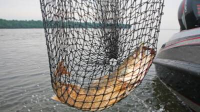 Küçük ölçekli balıkçılığın desteklenmesine ilişkin tebliğ kapsamında 2026 yılı başvuru