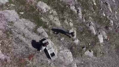 Habur Sınır Kapısında ele geçirilen 38 kınalı keklik, ekiplerin titiz