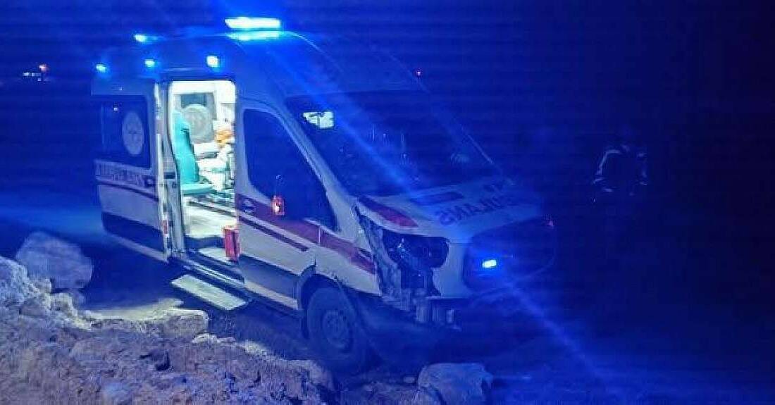 Siirt’te başıboş at, hasta taşıyan ambulansın çarpması sonucu telef oldu.