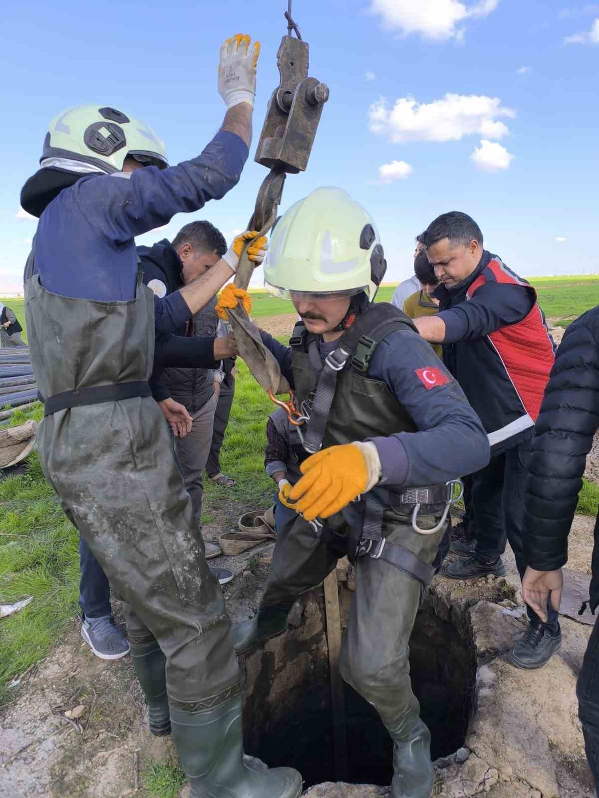 Mardin’in Kızıltepe ilçesinde kuyuya düşen inek, itfaiye ekiplerince kurtarıldı.