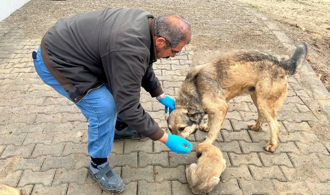 Adıyaman Belediyesi, hayvan barınağında kullanılan kuru mama üretim atölyesini modern