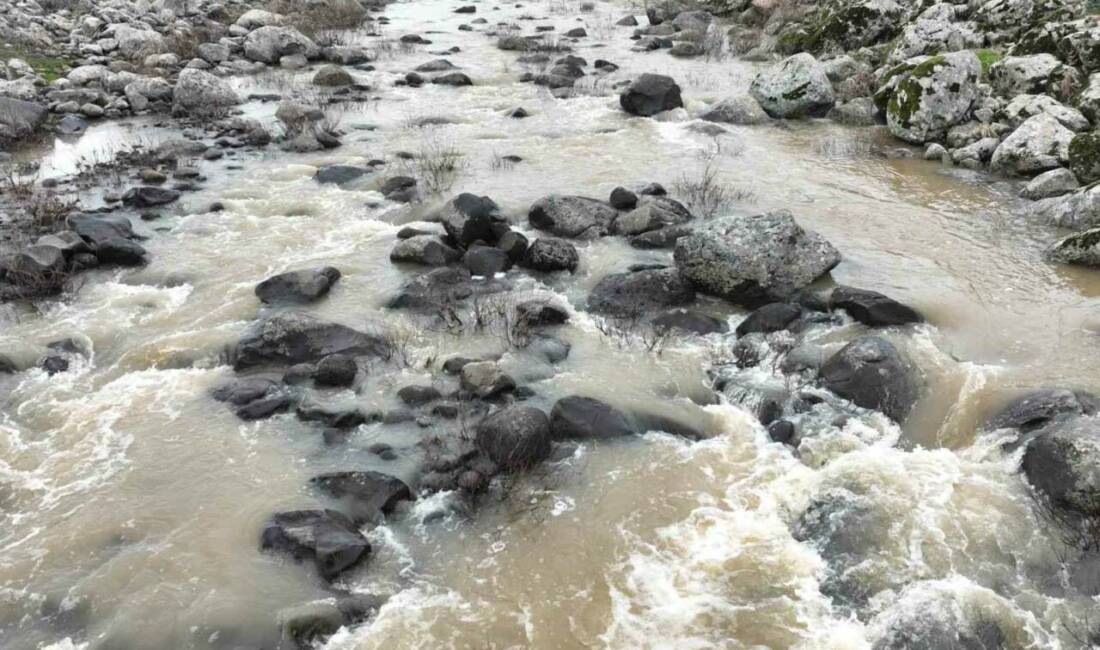 Şanlıurfa’da kar ve aşırı yağışlar uzun yıllardır kuruyan dereleri yeniden