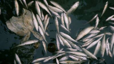 Adıyaman'da baraj, göl, gölet ve akarsuları kapsayan iç sularda su