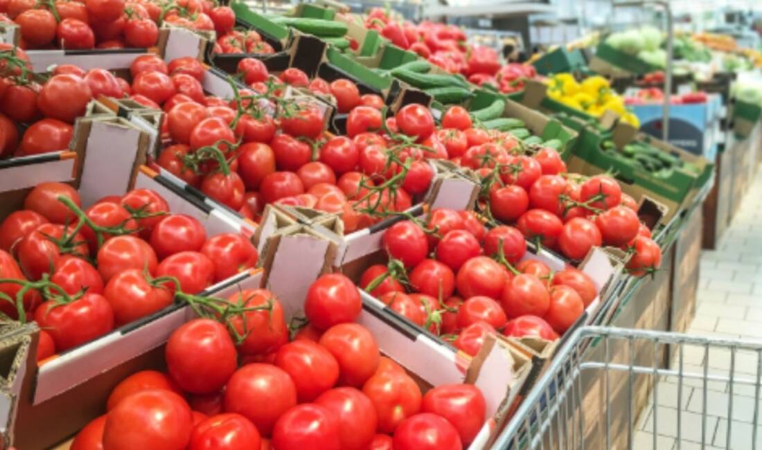 ASAL Araştırma'nın Şubat 2026'da 2 bin 15 kişiyle yaptığı ankete