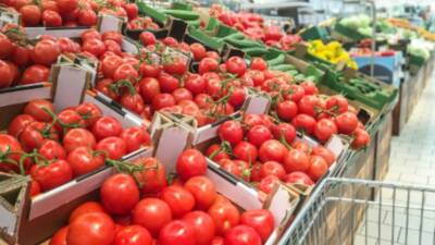 ASAL Araştırma'nın Şubat 2026'da 2 bin 15 kişiyle yaptığı ankete