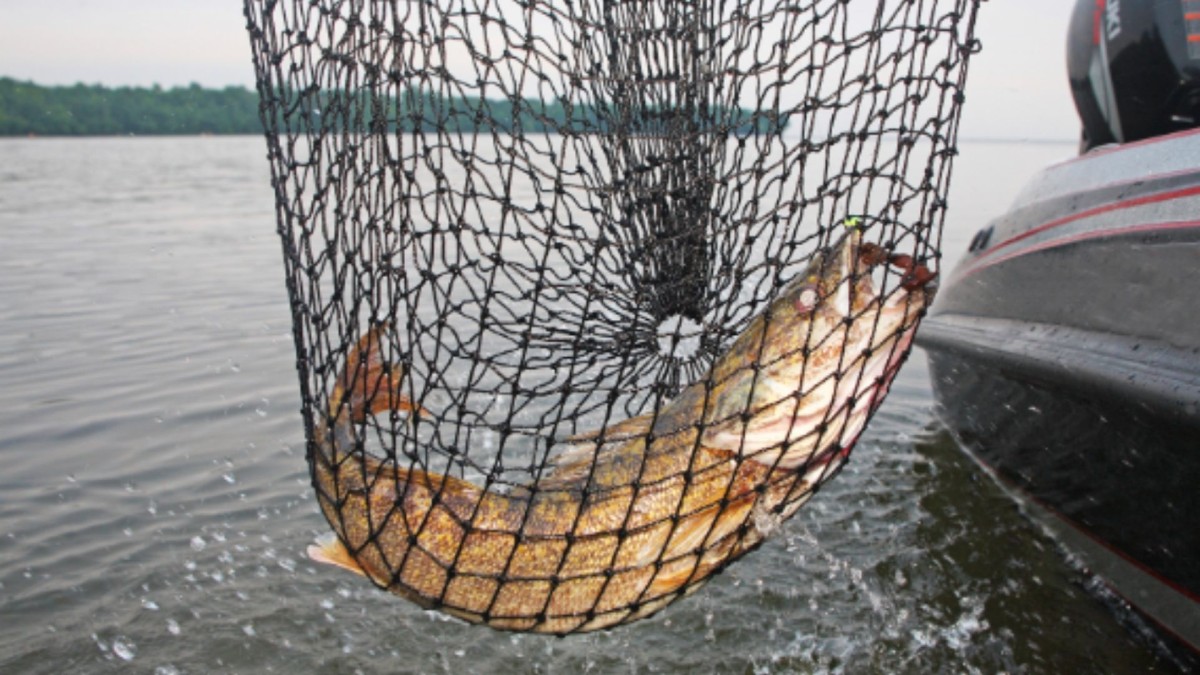 Adıyaman'da iç sularda su ürünleri avcılığı, üreme dönemi nedeniyle 1