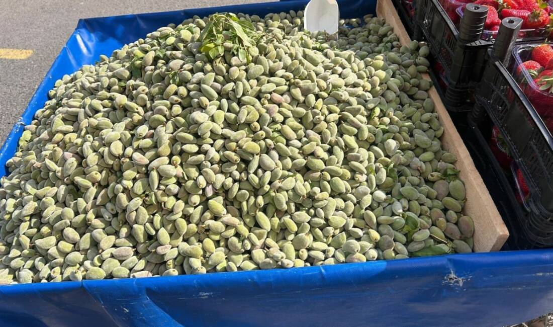 Adıyaman'ın önemli tarım ürünlerinden biri olan baharın müjdecisi olarak ta