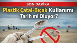 Türkiye’de tek kullanımlık plastik ürünlerin üretimi ve satışı için hazırlanan
