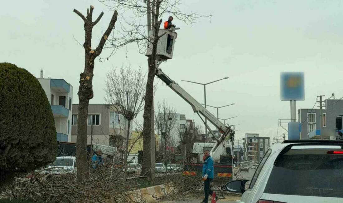 Adıyaman Belediyesi Park ve Bahçeler Müdürlüğü ekipleri tarafından şehir genelindeki