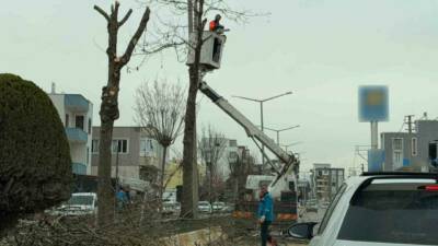Adıyaman Belediyesi Park ve Bahçeler Müdürlüğü ekipleri tarafından şehir genelindeki