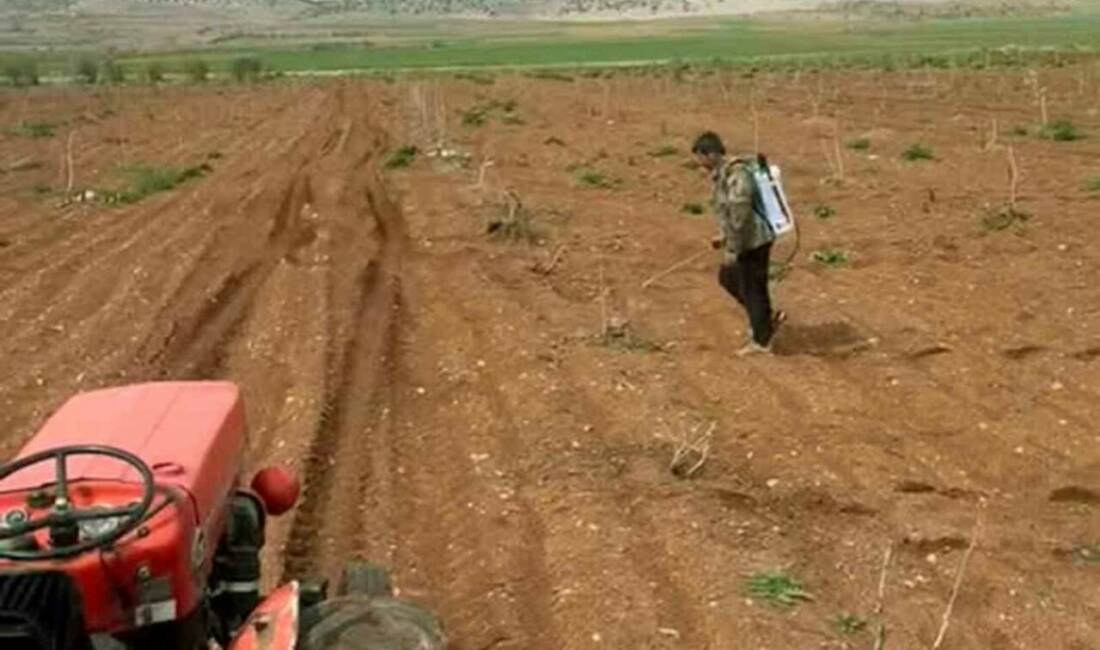 Gaziantep’in Araban ilçesinde etkili olan yağışların ardından Antep fıstığı üreticileri,