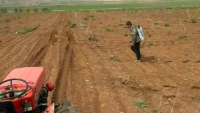 Gaziantep’in Araban ilçesinde etkili olan yağışların ardından Antep fıstığı üreticileri,