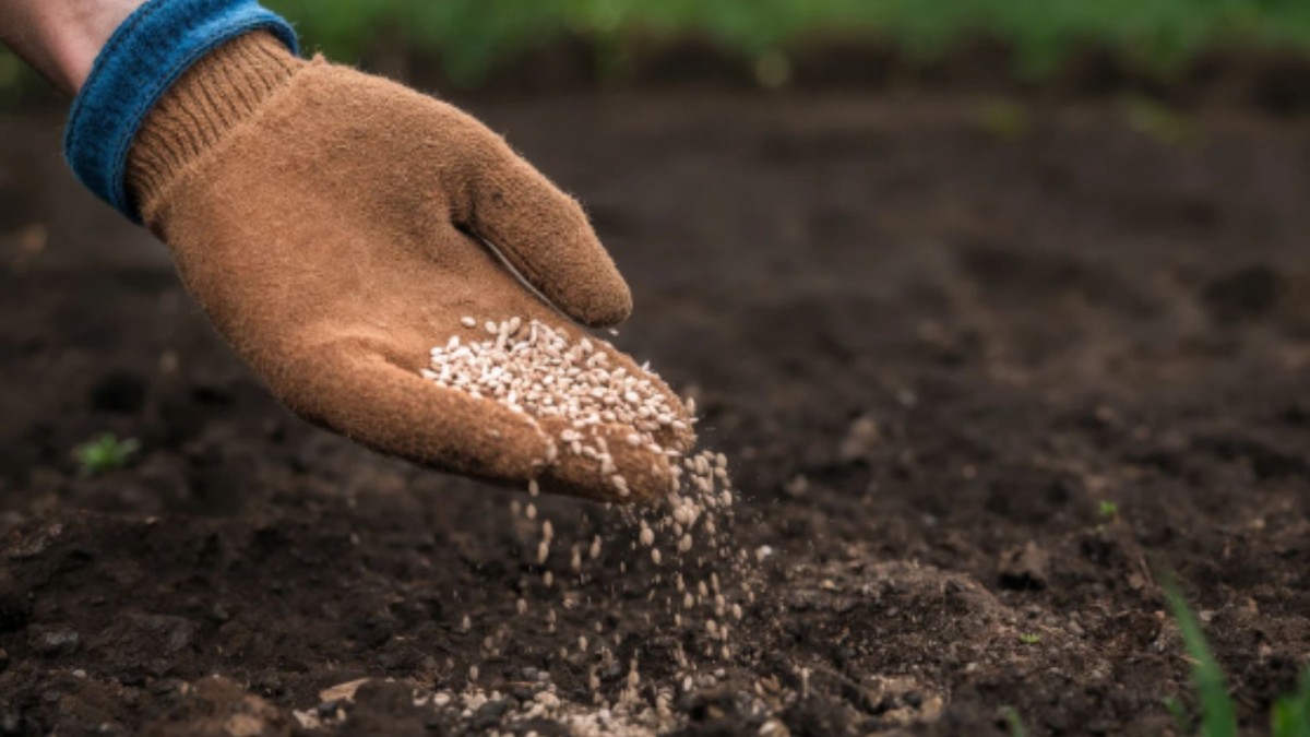 İletişim Başkanlığı, bazı basın yayın organlarında yer alan "Hürmüz Boğazı