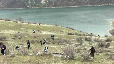 Şanlıurfa’da doğasever, bahar çiçeği nergisleri görüntülemek için yağış altında kilometrelerce