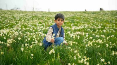 Adıyaman’ın Gerger ilçesine bağlı Üçkaya köyünde doğada kendiliğinden yetişen nergisler,