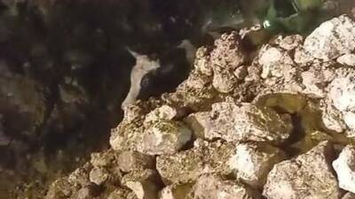 Batman'ın Gercüş ilçesinde şiddetli fırtına nedeniyle çöken bir evin enkazından