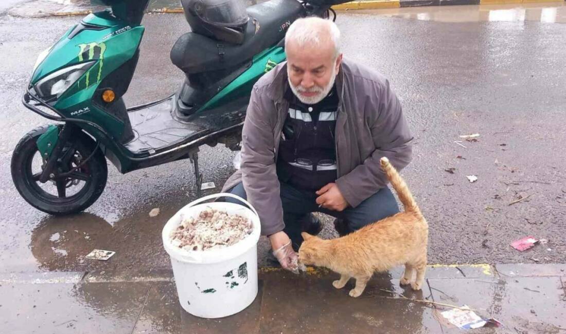 Diyarbakır Sokak Hayvanlarını Koruma ve Yaşatma Derneği Başkanı Yılmaz Acu,
