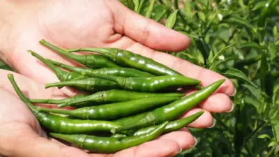 Ticaret Bakanlığı, sosyal medyada gündem olan biber fiyatlarıyla ilgili denetim