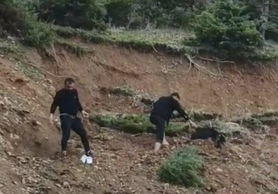 Batman’ın Sason ilçesinde çamura saplanan bir keçi, köy sakinlerinin zamanında