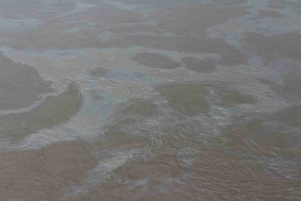 Cizre’deki ham petrol boru hattındaki sızıntı nedeniyle petrol Dicle Nehri'ne