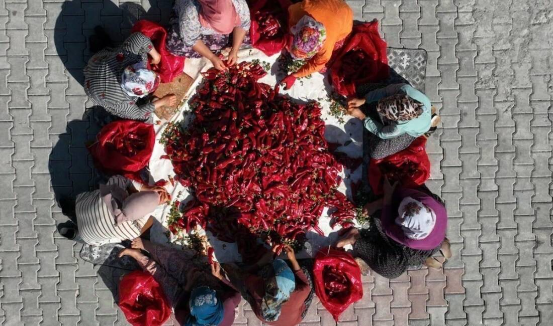 Adıyaman'da 15 kadın tarafından kurulan 'Atmalı Kadın Girişimi Üretim ve