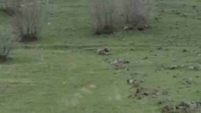 Diyarbakır’ın Çermik ilçesindeki Balıksırtı Mahallesi’nde, bir sürücü tarafından cep telefonu