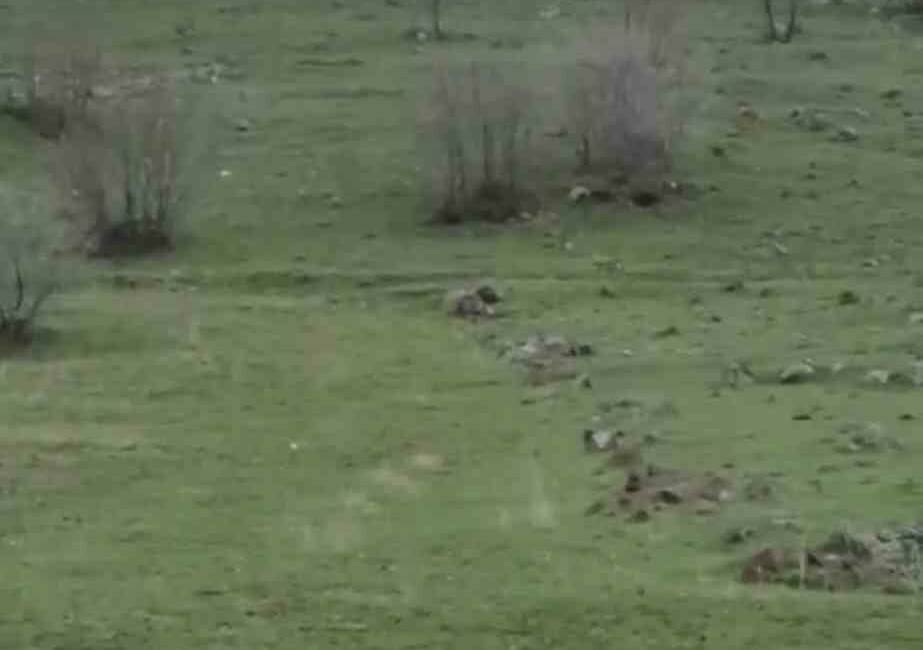 Diyarbakır’ın Çermik ilçesindeki Balıksırtı Mahallesi’nde, bir sürücü tarafından cep telefonu