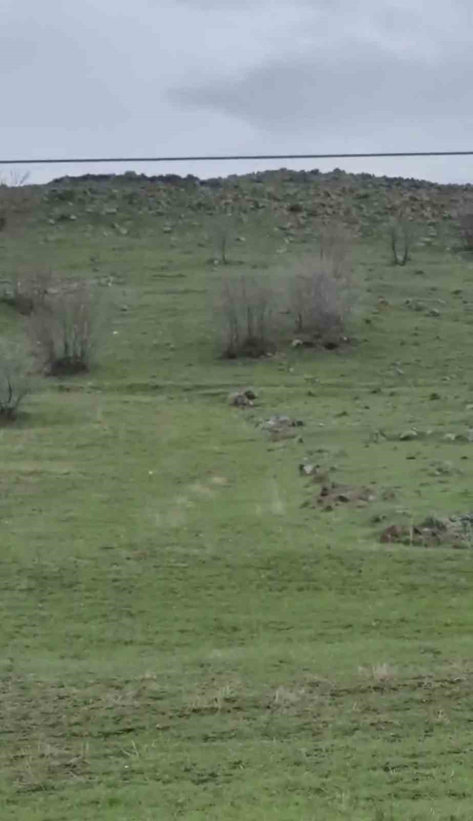 Diyarbakır’ın Çermik ilçesindeki Balıksırtı Mahallesi’nde, bir sürücü tarafından cep telefonu