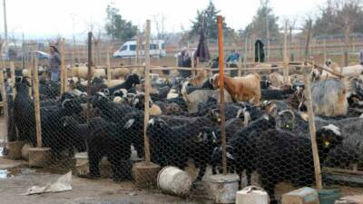 Diyarbakır’da Ramazan Bayramı öncesi kasaplara güvenmeyen vatandaşlar, sofraya bırakacağı eti
