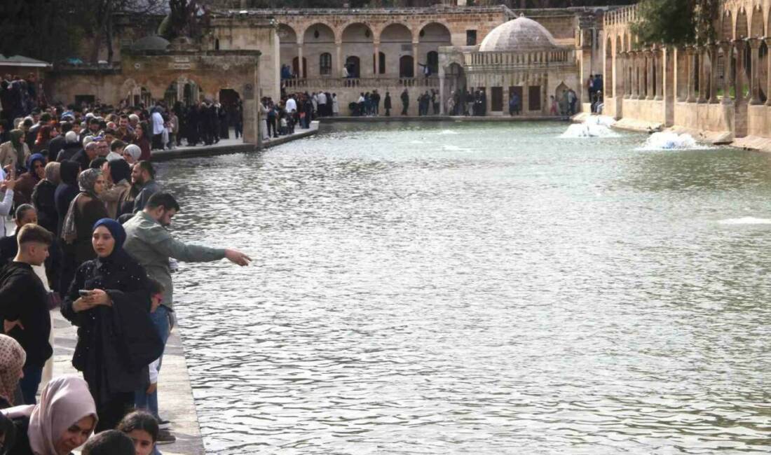 Şanlıurfa’da sağanak yağış sonrası sel sularına bulanan tarihi ve turistik