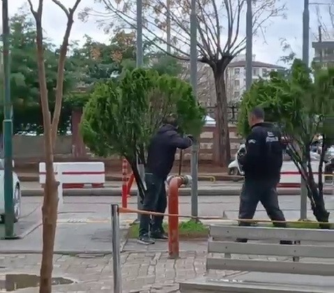Adıyaman’da madde etkisinde kaldığı belirtilen bir şahsın hastane bahçesindeki görüntüsü