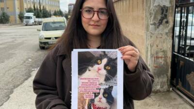 Adıyaman'da kaybolan 7 yaşındaki kedi için altın ödülü verilecek, ailesi