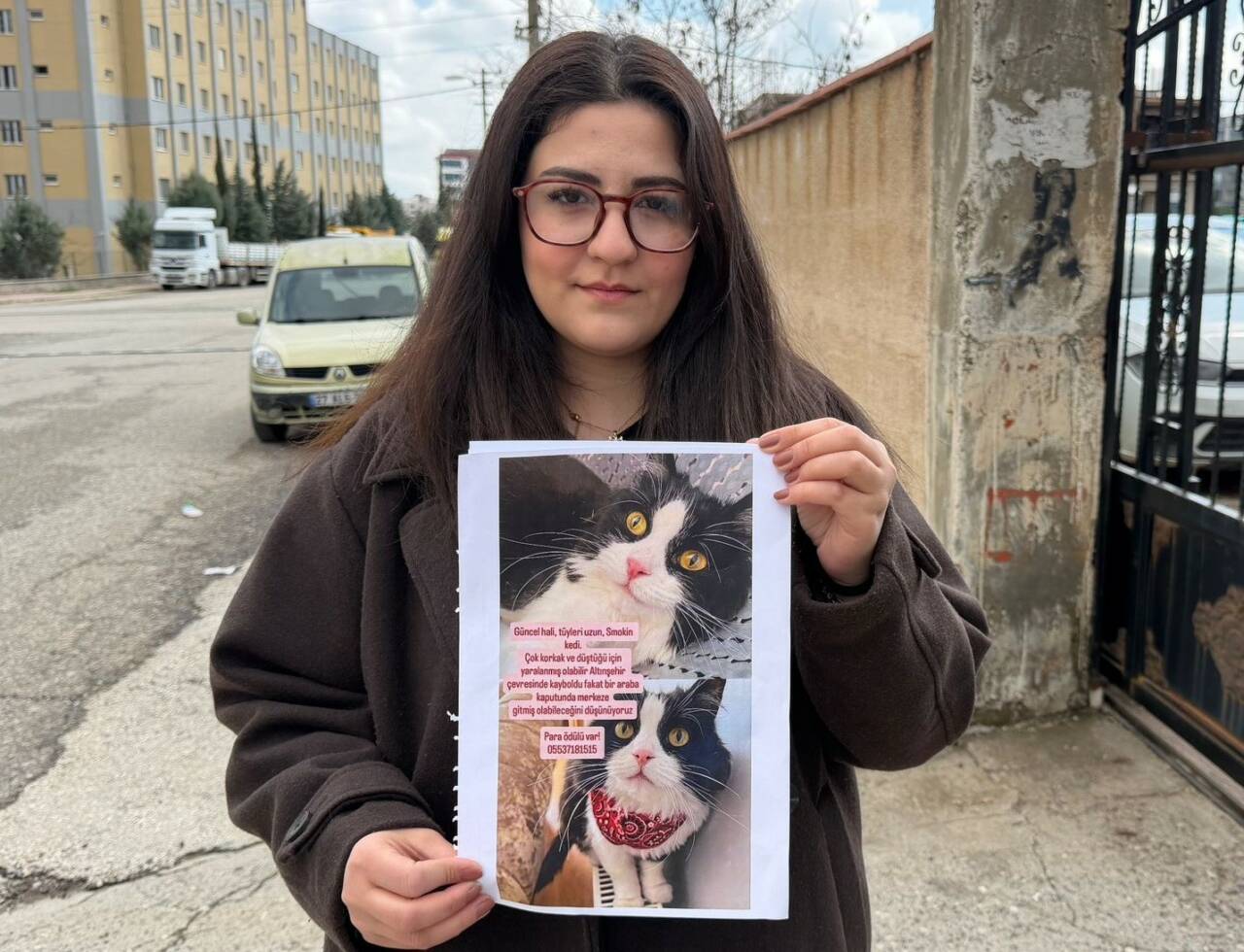 Adıyaman'da kaybolan 7 yaşındaki kedi için altın ödülü verilecek, ailesi