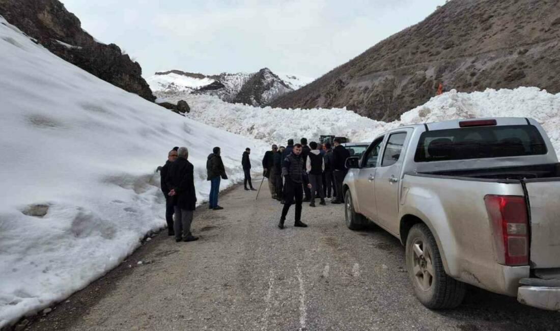 Şırnak’ta şiddetli yağışlar beraberinde çığları da getirdi. Çığ nedeniyle ulaşıma