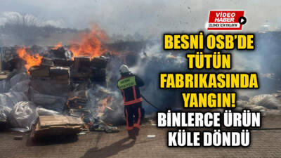 Adıyaman’ın Besni ilçesinde Organize Sanayi Bölgesi’nde (OSB) bulunan bir tütün