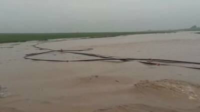 Mardin’de etkili olan sağanak yağış nedeniyle birçok ilçede dereler taştı,