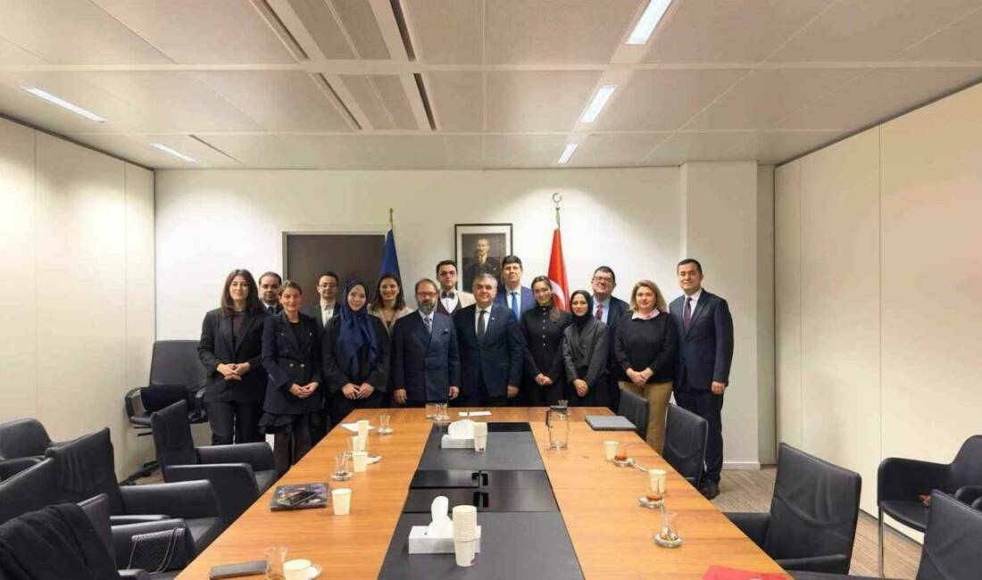 Mardin Büyükşehir Belediyesi Diplomasi Akademisi'nden mezun olan Yasemin Yavuz, uluslararası