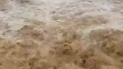 Şanlıurfa’nın Siverek ilçesinde gece saatlerinde etkisini artıran sağanak yağış, kırsal