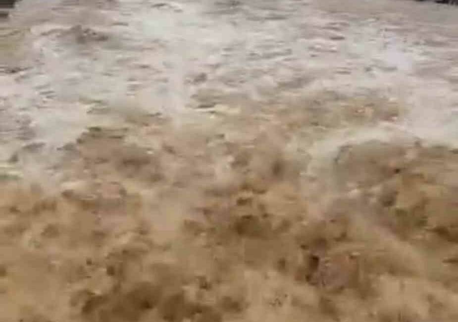 Şanlıurfa’nın Siverek ilçesinde gece saatlerinde etkisini artıran sağanak yağış, kırsal