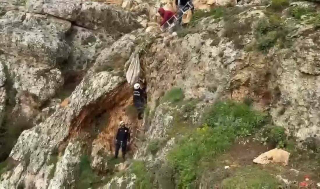 Şanlıurfa’da uçurumdan düşen köpek, itfaiye ekiplerinin 4 saatlik çalışması ile