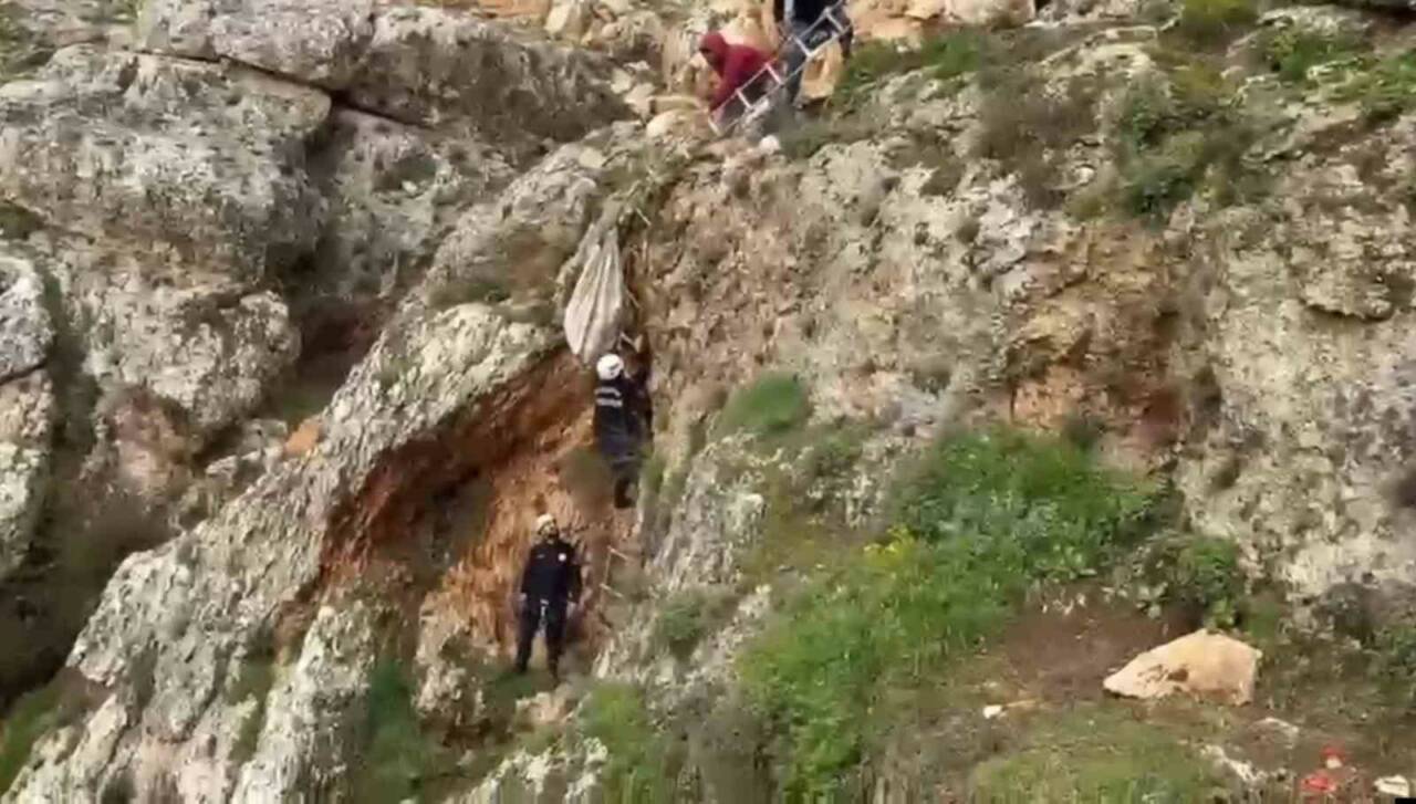 Şanlıurfa’da uçurumdan düşen köpek, itfaiye ekiplerinin 4 saatlik çalışması ile