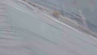 Şanlıurfa'da bir yapay gölette mahsur kalan çakal, itfaiye ekiplerinin uzattığı