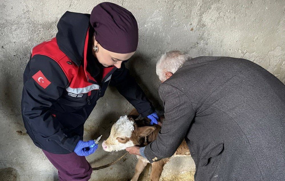 Adıyaman’da hayvanlardan insanlara bulaşabilen zoonoz hastalıklarla mücadele kapsamında aşılama çalışmaları