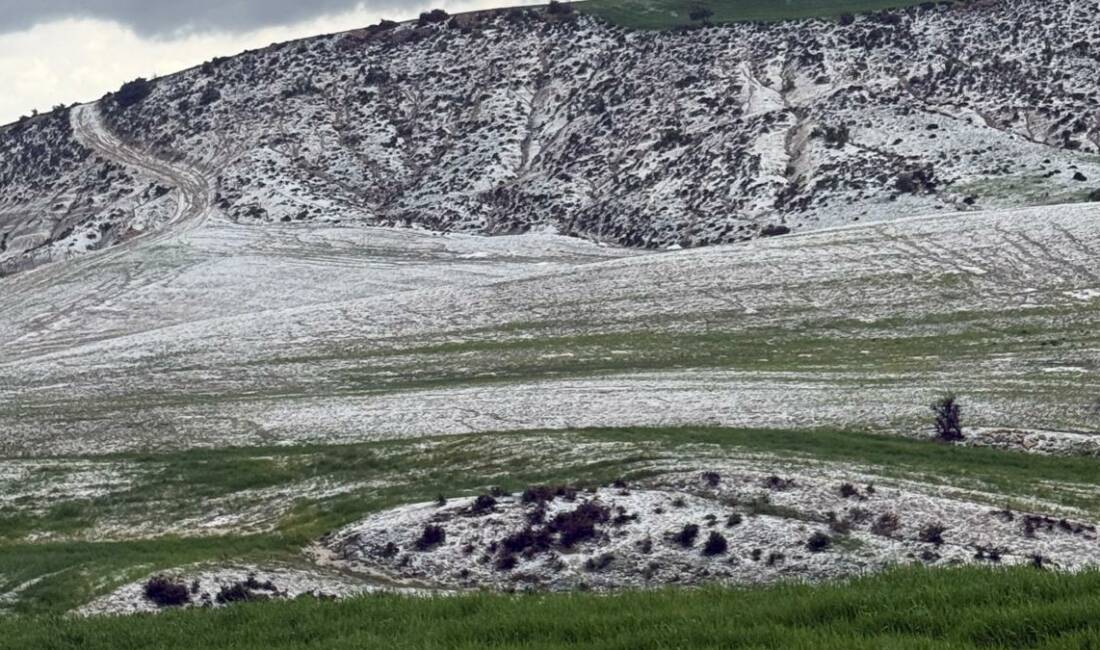 Besni merkez ve köylerinde etkili olan dolu yağışı tarım arazilerini