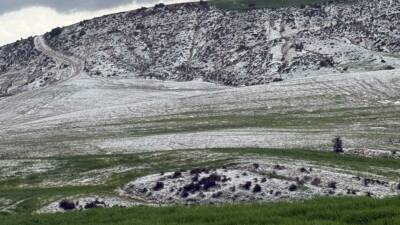 Besni merkez ve köylerinde etkili olan dolu yağışı tarım arazilerini