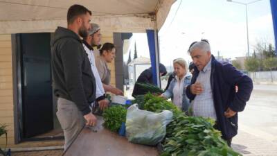 Adıyaman Belediyesi’ne ait Yeni Mahalle’deki 10 dönümlük üretim alanında yetiştirilen